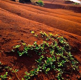 AVA战地之王steam测试下载图文教程 Beta测试时间一览